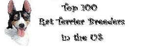 Top 100 Rat Terrier Breeders in the US